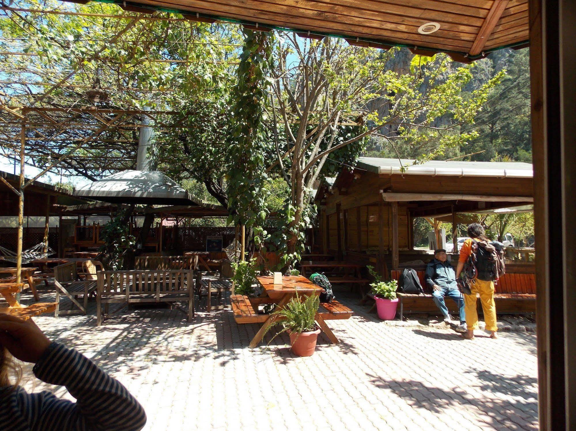 Olympos Orange Bungalows Kumluca Ngoại thất bức ảnh